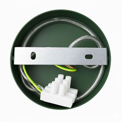 Brilagi - Vägglampa FLAMENGO 1xE27/60W/230V grön