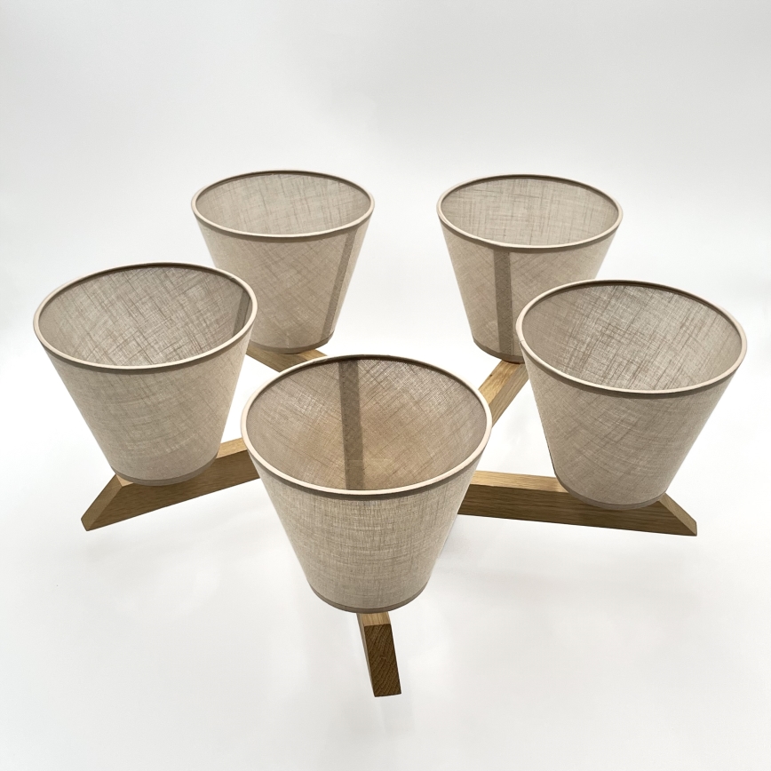 Brilagi - Ytmonterad ljuskrona ANTHONY 5xE14/40W/230V ek/beige