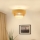 Brilagi - Ytmonterad ljuskrona CEDAR LUNETA 1xE27/15W/230V diameter 45 cm beige/brun/grädde