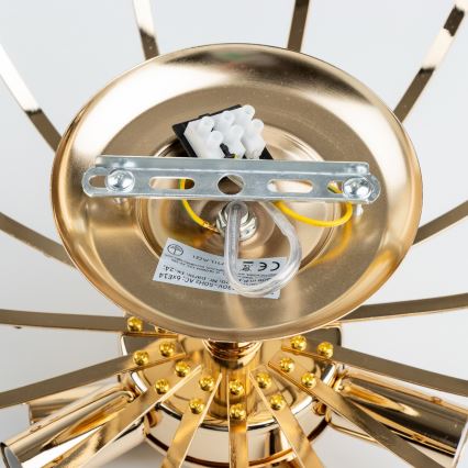 Brilagi - Ytmonterad ljuskrona CRYSTAL 6xE14/60W/230V guld