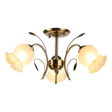Brilagi - Ytmonterad ljuskrona FLORA 3xE14/60W/230V brons
