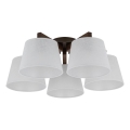 Brilagi - Ytmonterad taklampa LATTE 5xE27/60W/230V furu/vit