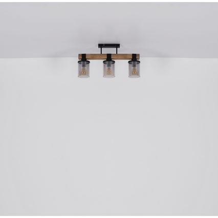 Brilagi - Ytmonterad taklampa VISTA 3xE27/60W/230V ek