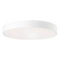 Brilliant - Dimbar LED-taklampa SLIMLINE LED/60W/230V 3000-6500K diam. 49 cm vit + fjärrkontroll