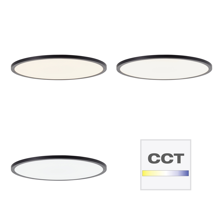 Brilliant - Dimbart LED-takarmatur TUCO LED/33W/230V 3000-6500K Ø 50 cm svart + fjärrkontroll