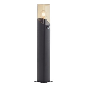 Brilliant - Lampa med sensor för utomhusbruk MINOU 1xE27/10W/230V IP44 svart/rökig