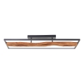 Brilliant - LED Dimbar taklampa CHAUMONT LED/48W/230V gummifikon