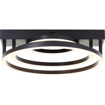 Brilliant - LED dimbar taklampa PEDLEY LED/36W/230V svart