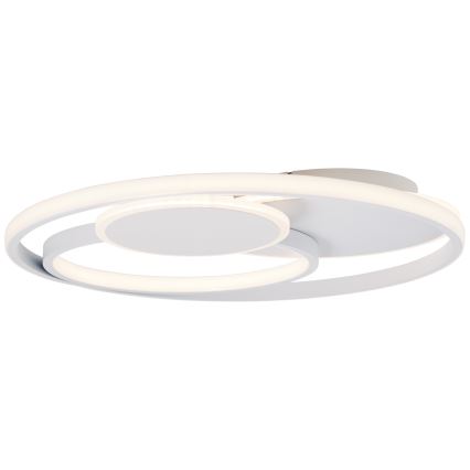 Brilliant - LED Dimbar taklampa RUNDA LED/50W/230V 3000-6500K vit + fjärrkontroll
