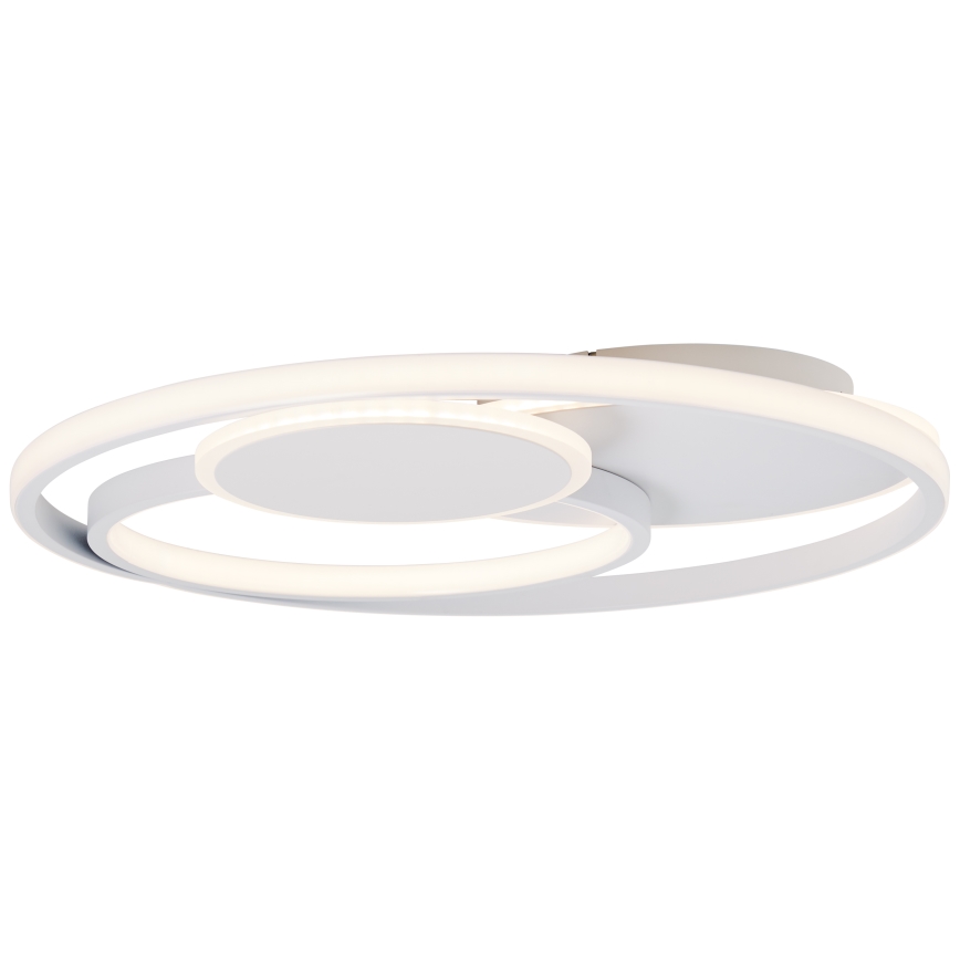 Brilliant - LED Dimbar taklampa RUNDA LED/50W/230V 3000-6500K vit + fjärrkontroll
