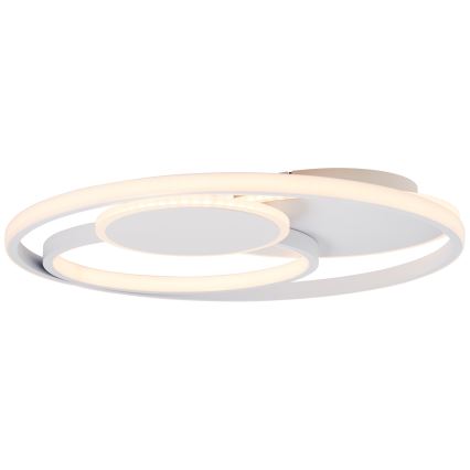 Brilliant - LED Dimbar taklampa RUNDA LED/50W/230V 3000-6500K vit + fjärrkontroll