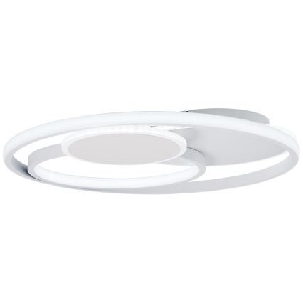 Brilliant - LED Dimbar taklampa RUNDA LED/50W/230V 3000-6500K vit + fjärrkontroll