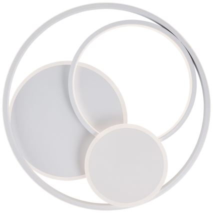 Brilliant - LED Dimbar taklampa RUNDA LED/50W/230V 3000-6500K vit + fjärrkontroll