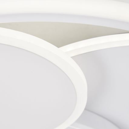 Brilliant - LED Dimbar taklampa RUNDA LED/50W/230V 3000-6500K vit + fjärrkontroll