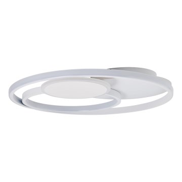 Brilliant - LED Dimbar taklampa RUNDA LED/50W/230V 3000-6500K vit + fjärrkontroll