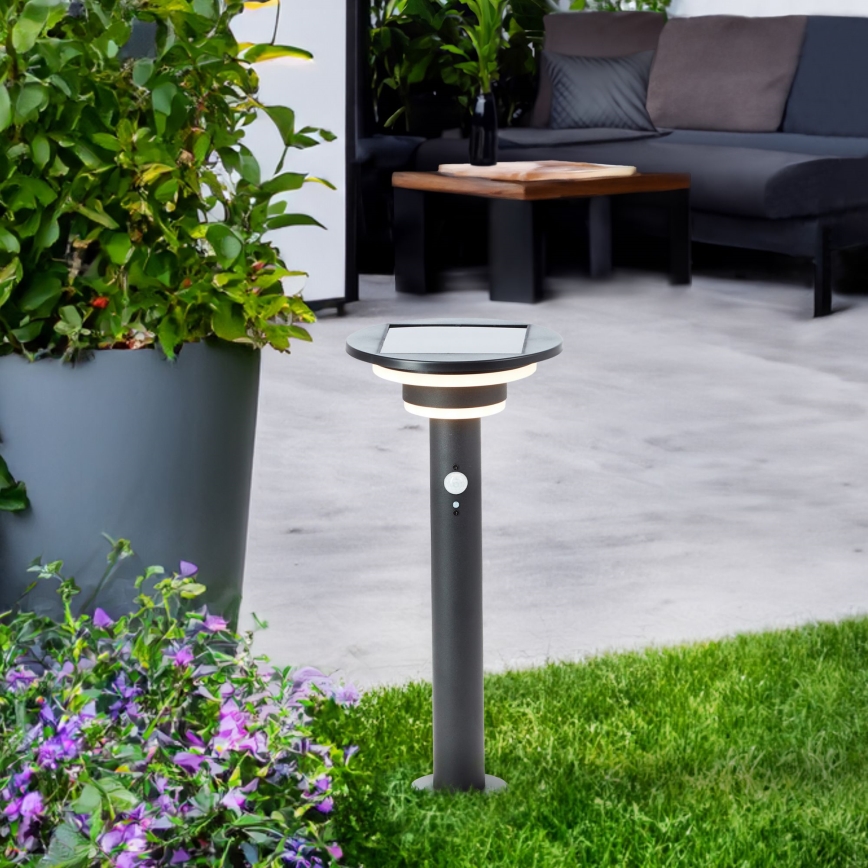 Brilliant - LED solcellslampa med sensor GARVINA LED/3W/3,7V 45 cm IP44 svart