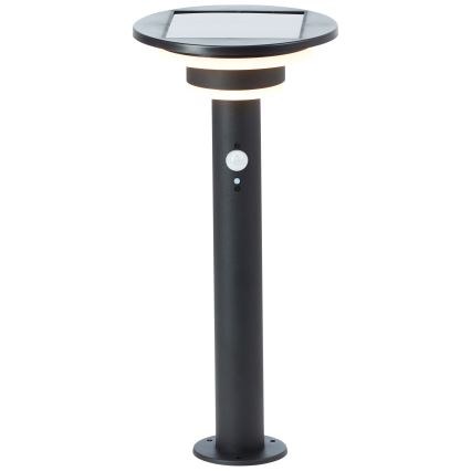 Brilliant - LED solcellslampa med sensor GARVINA LED/3W/3,7V 45 cm IP44 svart