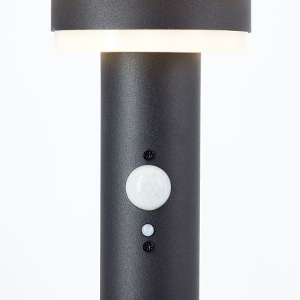 Brilliant - LED solcellslampa med sensor GARVINA LED/3W/3,7V 45 cm IP44 svart