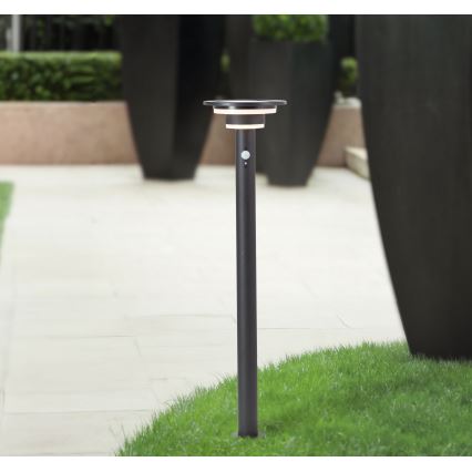 Brilliant - LED solcellslampa med sensor GARVINA LED/3W/3,7V 85 cm IP44 svart