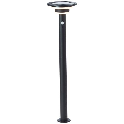 Brilliant - LED solcellslampa med sensor GARVINA LED/3W/3,7V 85 cm IP44 svart