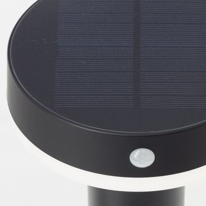 Brilliant - LED solcellslampa med sensor MAGUA LED/4W/3,7V 50,2 cm IP44 svart