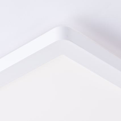 Brilliant - LED takarmatur MILTON LED/24W/230V 42x42 cm vit