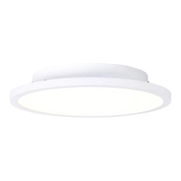 Brilliant - LED taklampa BUFFI LED/13W/230V diameter 25 cm 2700K