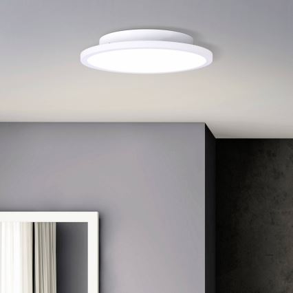 Brilliant - LED taklampa BUFFI LED/13W/230V diameter 25 cm 2700K