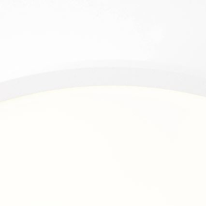 Brilliant - LED taklampa BUFFI LED/13W/230V diameter 25 cm 2700K