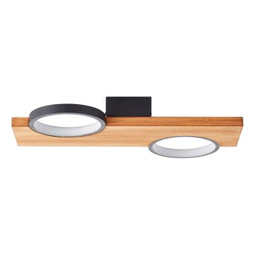 Brilliant - LED taklampa CHEESY LED/14W/230V tall - FSC certifierade