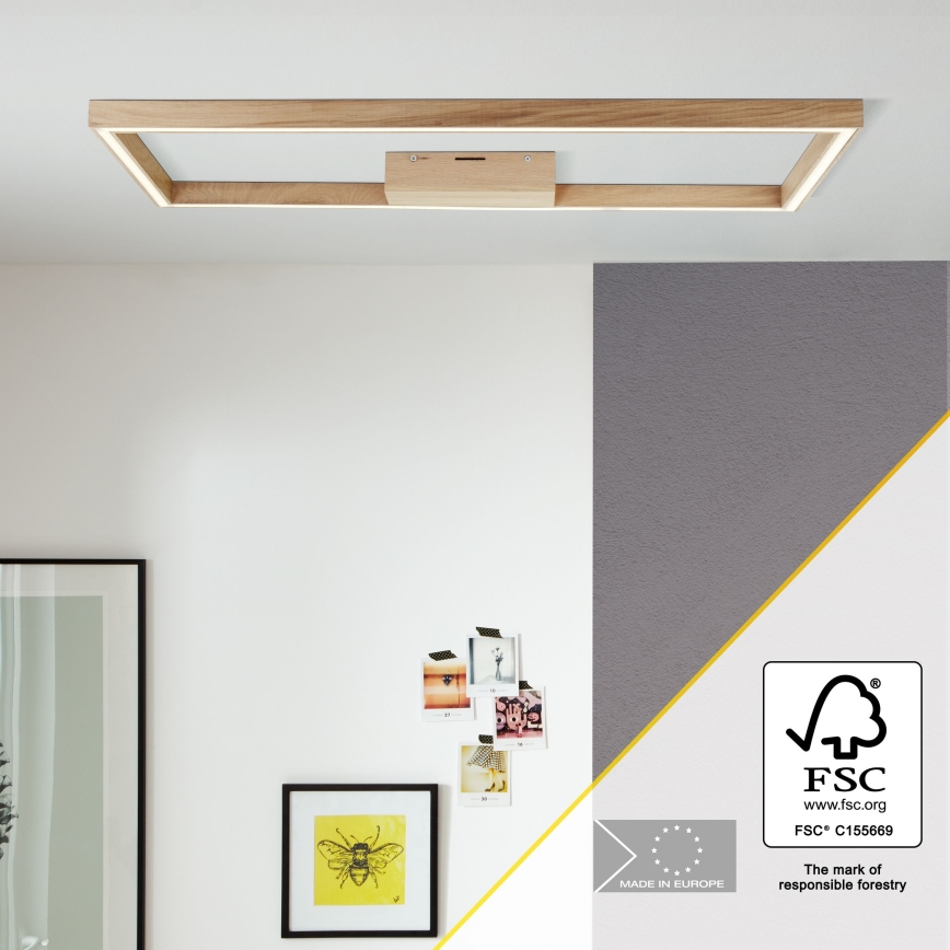 Brilliant - LED taklampa DELGROSSO LED/24W/230V 3000K ek