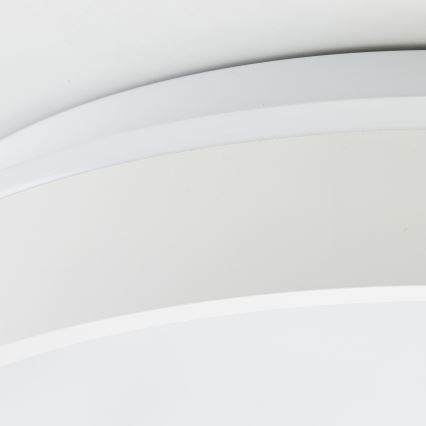 Brilliant - LED taklampa KALMAR LED/26W/230V 3000K diameter 39 cm vit