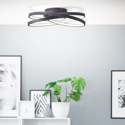 Brilliant - LED taklampa LABYRINTH LED/40W/230V diameter 39,5 cm svart
