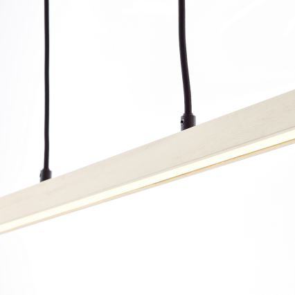 Brilliant - LED-taklampa på vajer ARION LED/22W/230V furu