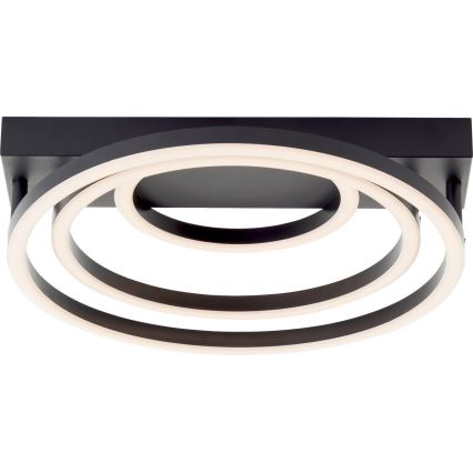 Brilliant PEDLEY LED - Dimmbar taklampa 36W/230V svart