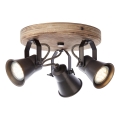 Brilliant - Spotlampa SEED 3xGU10/5W/230V svart/brun