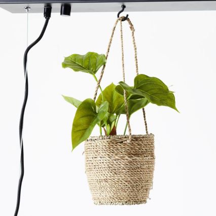 Brilliant - Taklampa på vajer BANKWOOD 5xE27/28W/230V poppel