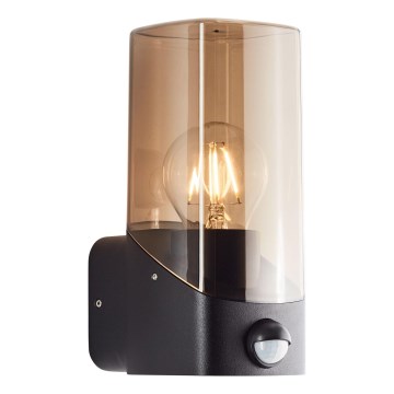Brilliant - Utomhus vägglampa med sensor MINOU 1xE27/10W/230V IP44 svart/rökig