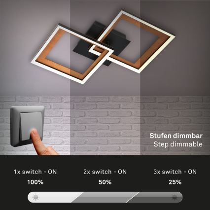 Brilo - Dimbar LED ytmonterad ljuskrona FRAME 2xLED/11W/230V