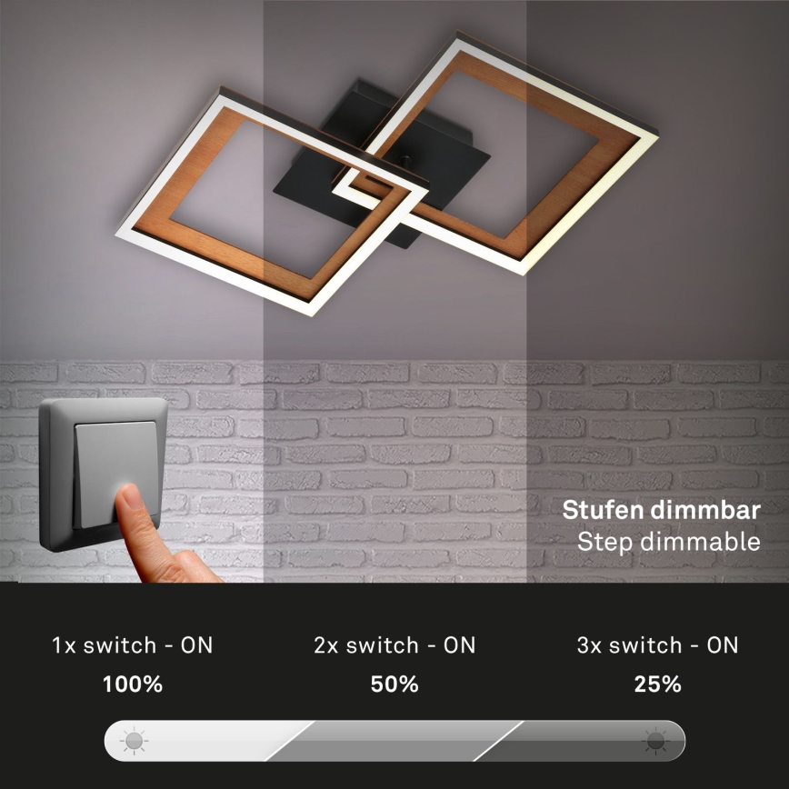 Brilo - Dimbar LED ytmonterad ljuskrona FRAME 2xLED/11W/230V