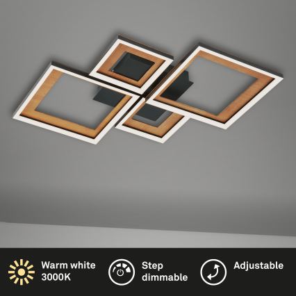 Brilo - Dimbar LED ytmonterad ljuskrona FRAME LED/38W/230V