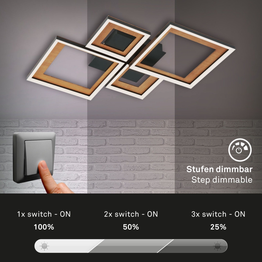 Brilo - Dimbar LED ytmonterad ljuskrona FRAME LED/38W/230V