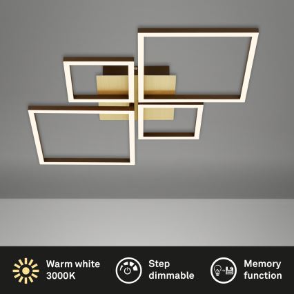Brilo - Dimbar LED ytmonterad ljuskrona FRAME LED/44W/230V