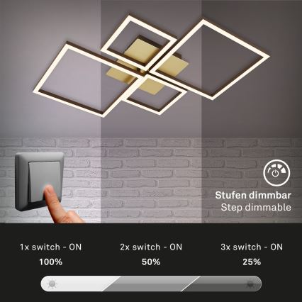 Brilo - Dimbar LED ytmonterad ljuskrona FRAME LED/44W/230V