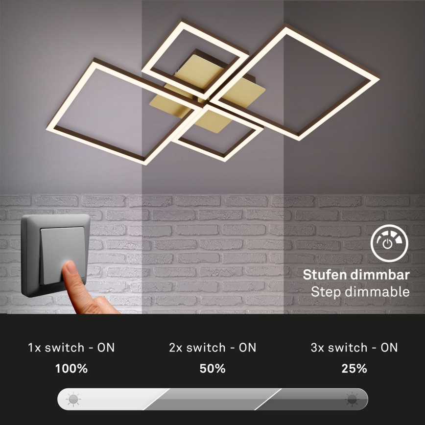Brilo - Dimbar LED ytmonterad ljuskrona FRAME LED/44W/230V