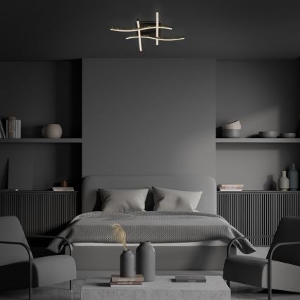 Brilo - LED fäst ljuskrona REY 4xLED/6W/230V svart
