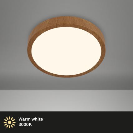Brilo - LED taklampa RUNA LED/12W/230V