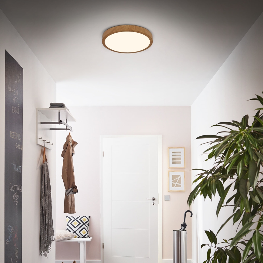 Brilo - LED taklampa RUNA LED/24W/230V
