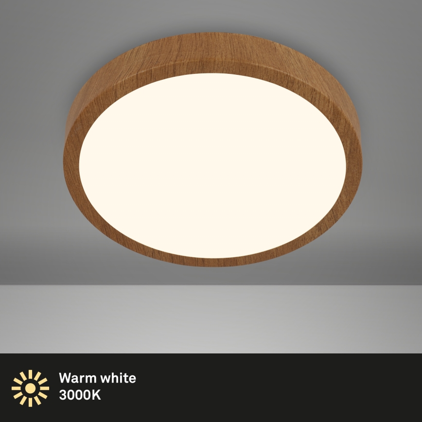 Brilo - LED taklampa RUNA LED/24W/230V