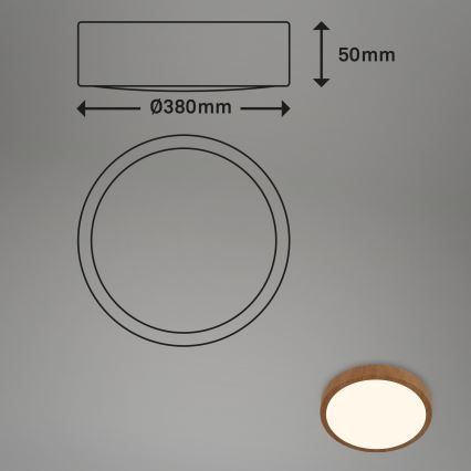 Brilo - LED taklampa RUNA LED/24W/230V
